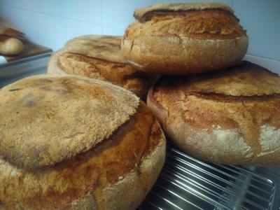 Pane casareccio